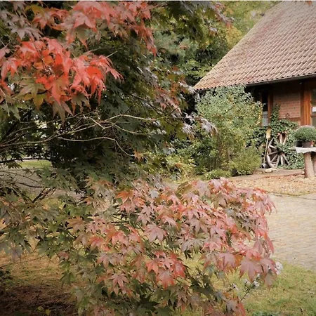 Happy Place * Wagenhoff